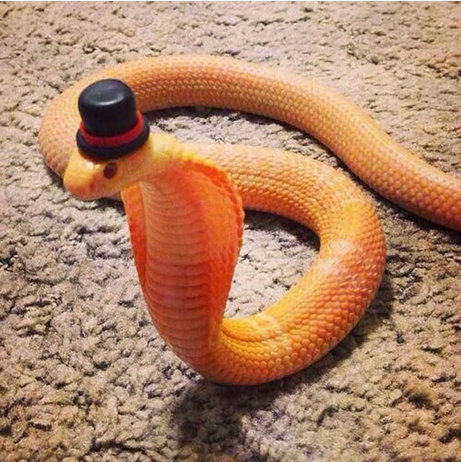 Пушистая змея