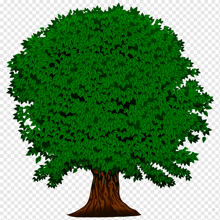 Дерево на зелёном фоне