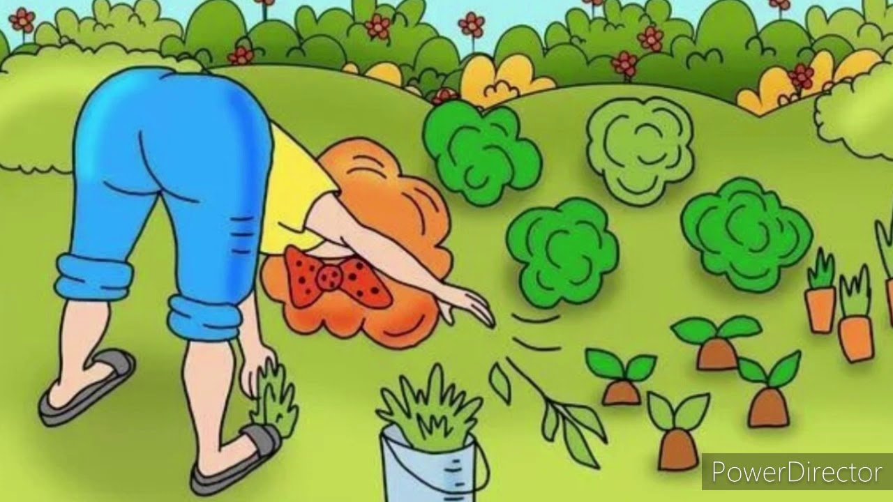 Карикатуры дача огород